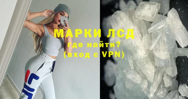 прущие грибы Снежногорск