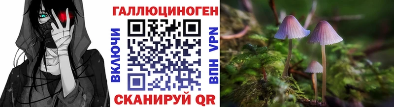Галлюциногенные грибы Cubensis  Нижние Серги 